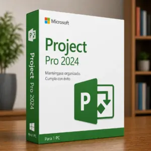 Project Pro 2024